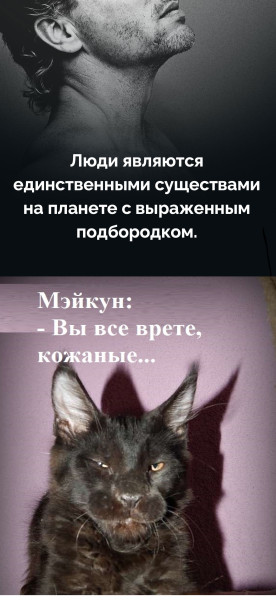 Мем, Mghost Мем, Mghost