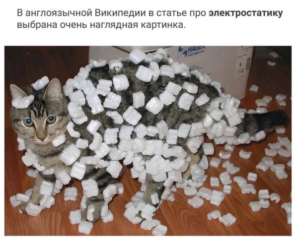 Мем, henh Мем, henh