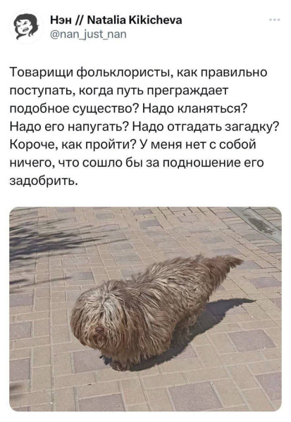 Мем, henh Мем, henh