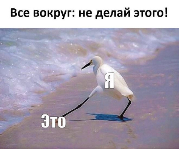 Мем: Мем, iteam