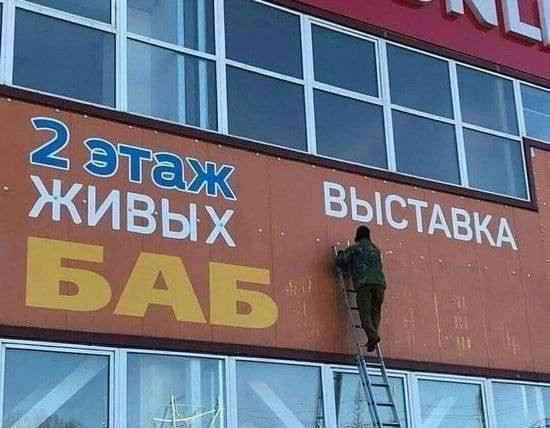 Мем, Максим Камерер Мем, Максим Камерер