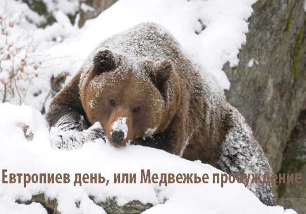 Мем: Евтропиев день, или Медвежье пробуждение