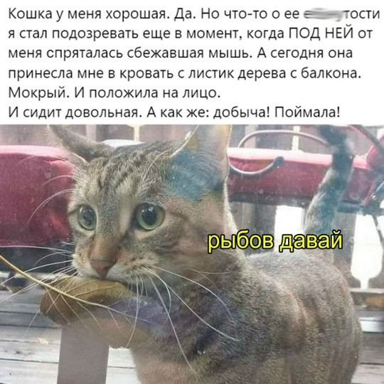 Мем, Смехалка