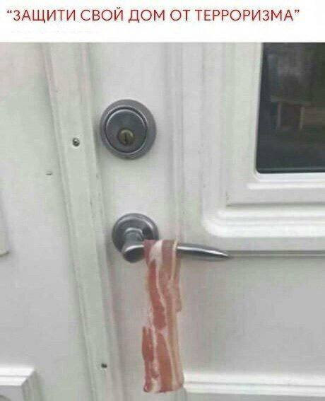 Мем, Ashmedai Мем, Ashmedai