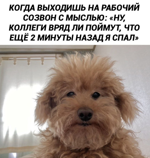 Мем, henh Мем, henh