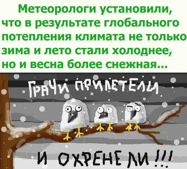 Мем, Александр САН