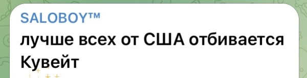 Мем, Максим Камерер