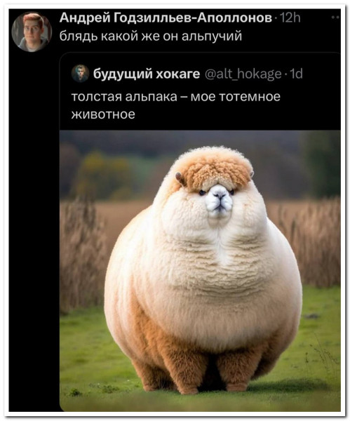 Мем, Юмористка Мем, Юмористка