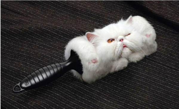 Мем, михельсон