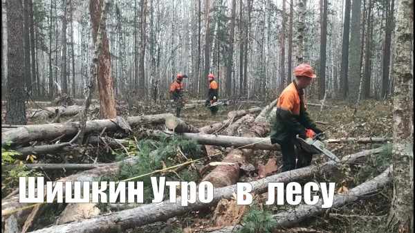 Мем: Шишкин Утро в Лесу, RusLan2025