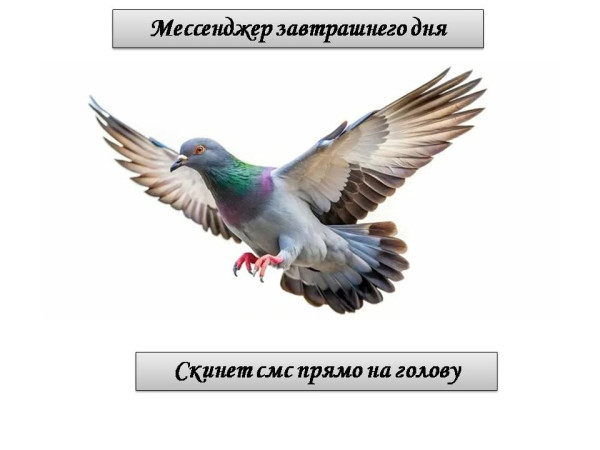 Мем, ДмРос Мем, ДмРос