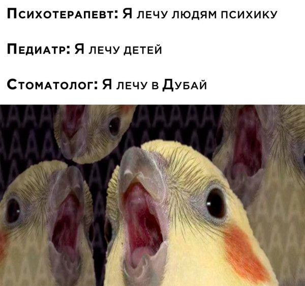 Мем: Юмор, iteam