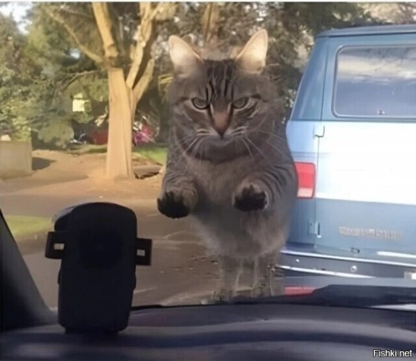 Мем, AlexVid73 Мем, AlexVid73