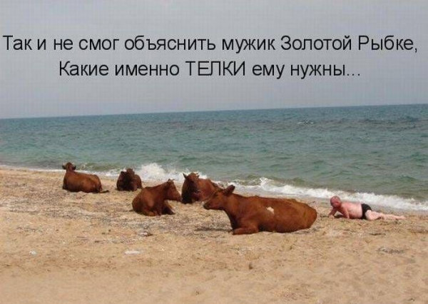 Мем: Так и не смог мужик объяснить золотой рыбке, RusLan2025