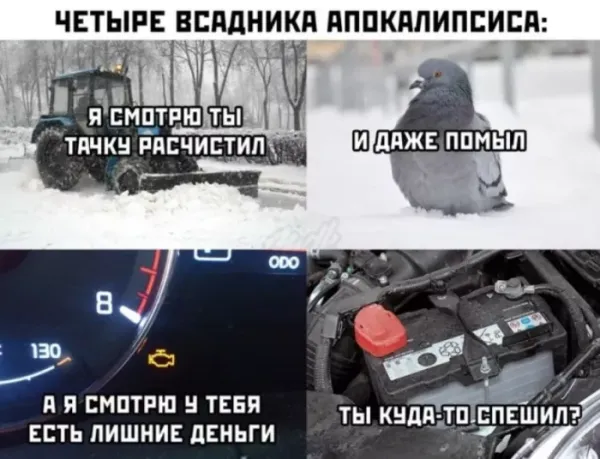 Мем: Приколы, Юмористка