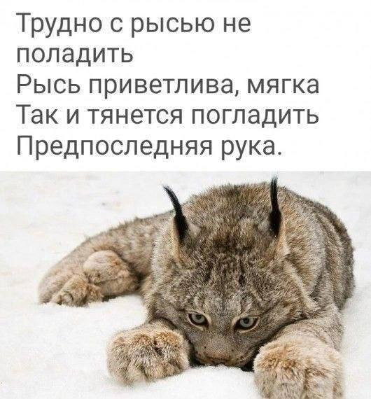 Мем, Смехалка