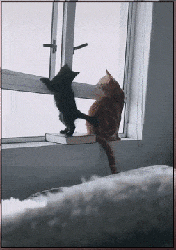 Мем: Нет, на улицу тебе рано. Поди, малыш, дома поиграй., Серж Скоров