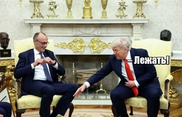 Мем, Юрий Небольсин