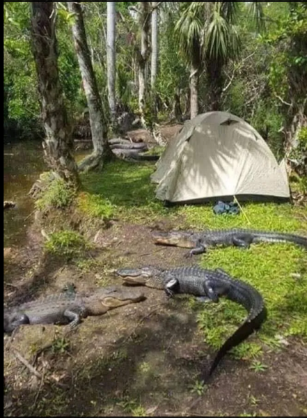 Мем, михельсон