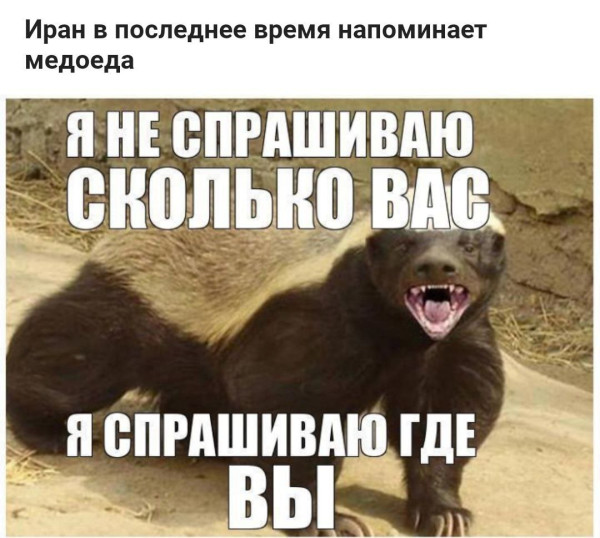 Мем, Максим Камерер