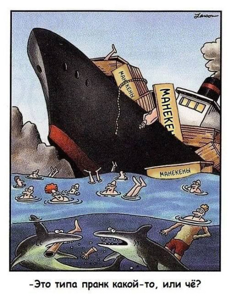 Мем, Максим Камерер