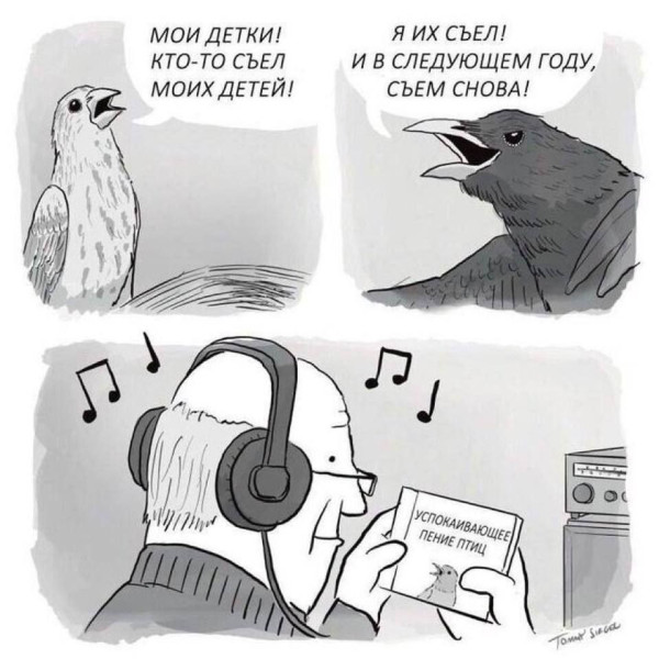 Мем: Юмор, iteam