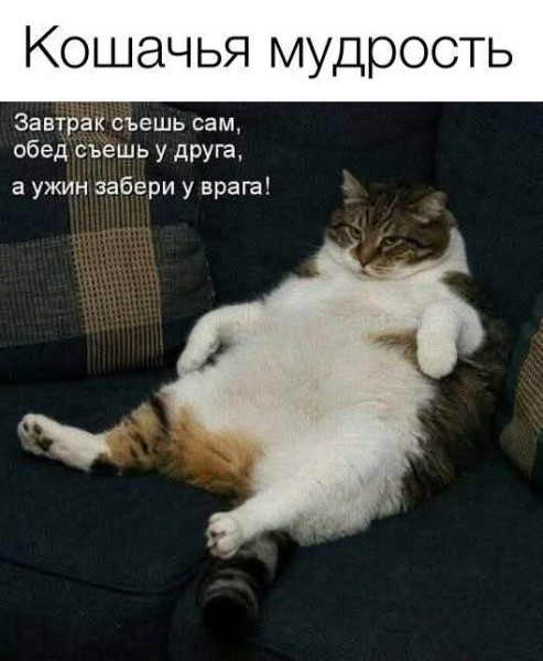 Мем, Смехалка