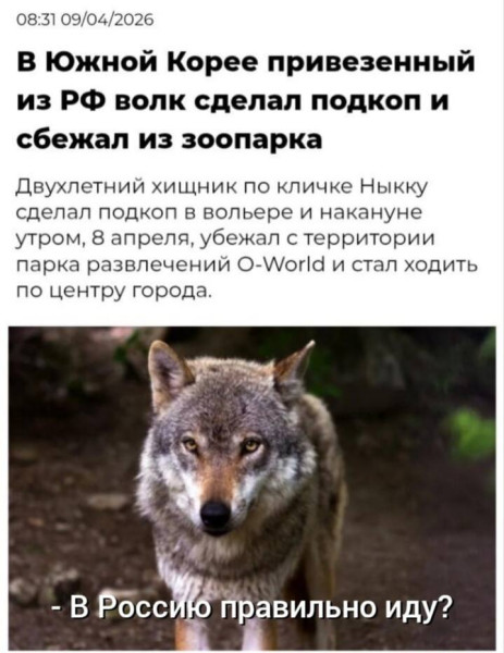 Мем, Смехалка Мем, Смехалка