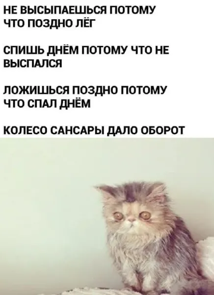 Мем, Oiler99 Мем, Oiler99