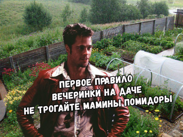 Мем: Не трогайте мамины помидоры, RusLan2025 Мем: Не трогайте мамины помидоры, RusLan2025