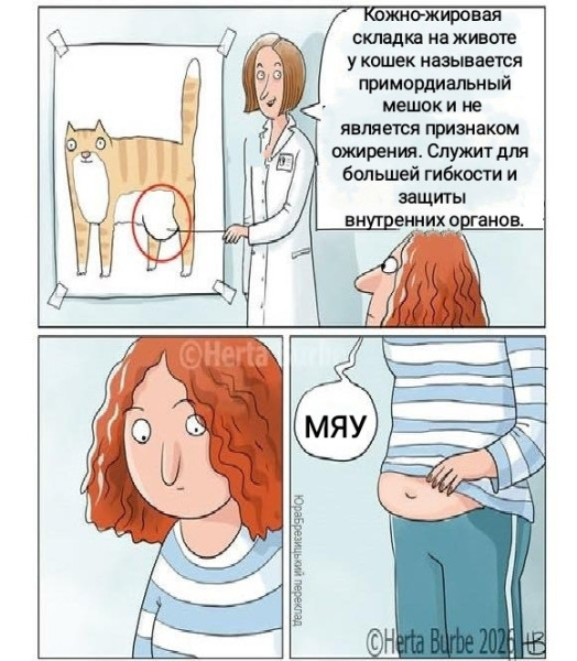 Мем, Рысь Мем, Рысь