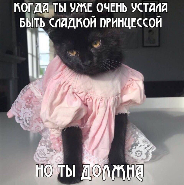 Мем, Смехалка