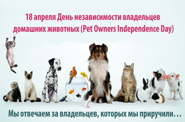 Мем: 18 апреля День независимости владельцев домашних животных