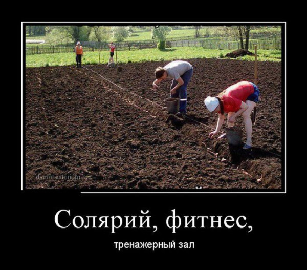 Мем: Солярий фитнес тренажёрка, RusLan2025