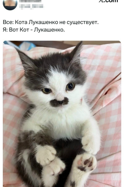 Мем, Mghost Мем, Mghost