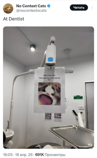 Мем: В китайской стоматологии предельно понятно объяснили, что нужно делать на приёме  Пожалуйста, откройте рот широко вот так:, henh