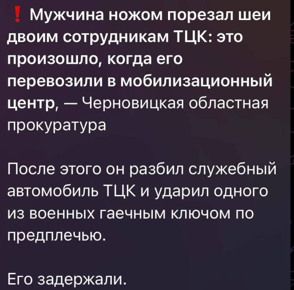 Мем, Максим Камерер