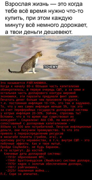 Мем: Рэйганомика