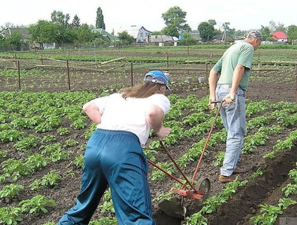 Мем: Сезон мошенниц открыт