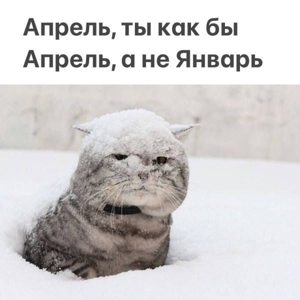 Мем, Смехалка