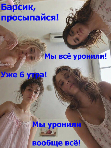 Мем: Барсик, мы всё уронили, Сергей Кабских