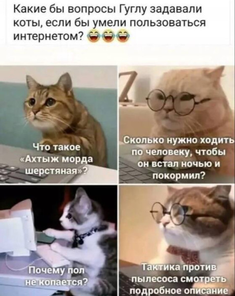 Мем, Смехалка