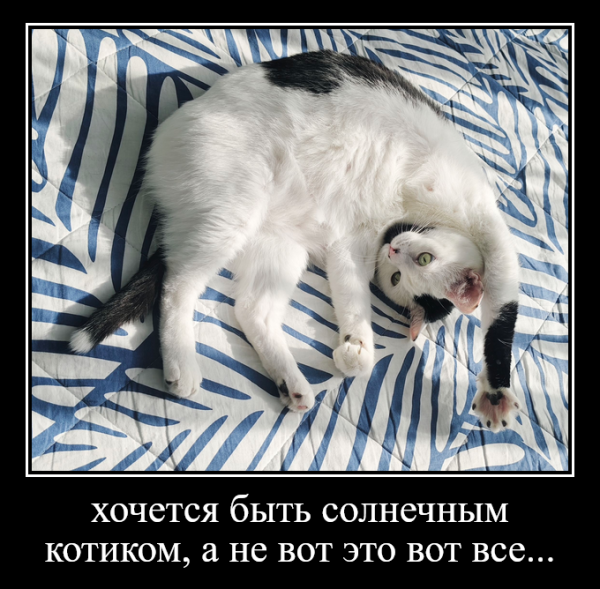 Мем, insomnia2000