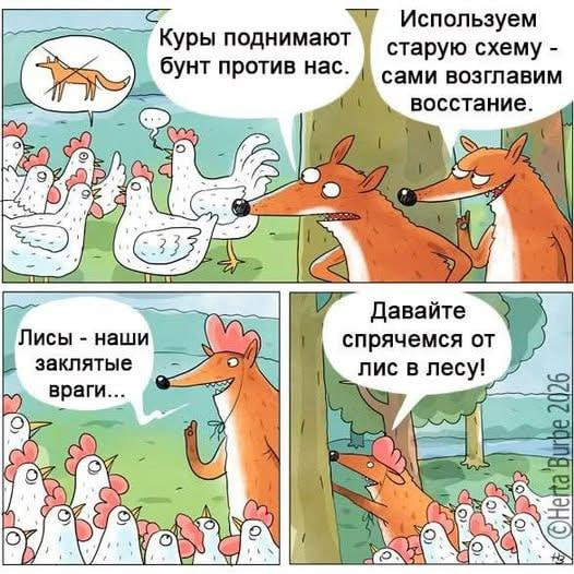 Мем, FDio