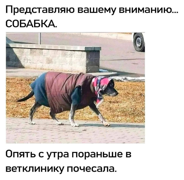 Мем, Hendry