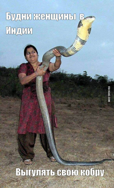 Мем: Будни женщины в Индии, RusLan2025 Мем: Будни женщины в Индии, RusLan2025