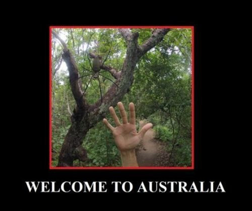 Мем: Добро пожаловать в Австралию, RusLan2025 Мем: Добро пожаловать в Австралию, RusLan2025