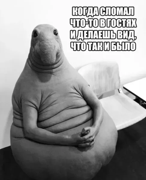 Мем: В гостях, Тато