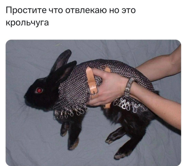 Мем, Mghost Мем, Mghost