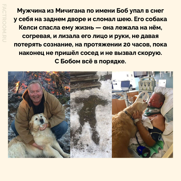 Мем, Mghost Мем, Mghost